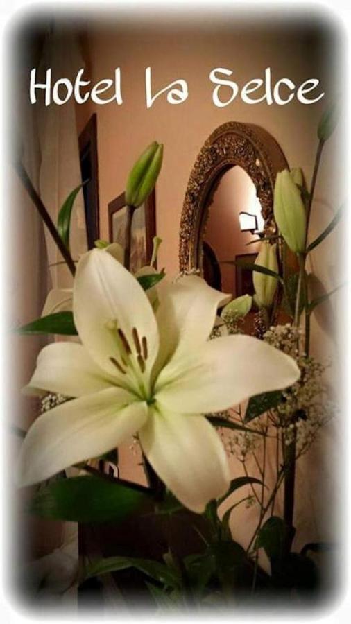 Hotel La Selce Monselice Buitenkant foto